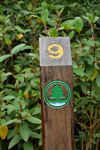 DSC_0898.JPG