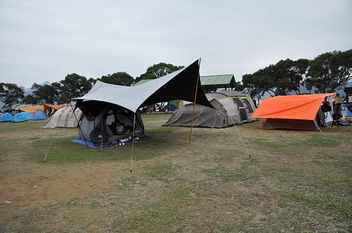 DSC_0906.JPG