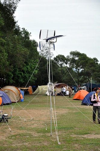 DSC_0908.JPG