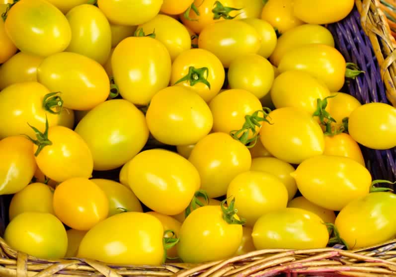 Yellow-tomatos.jpg