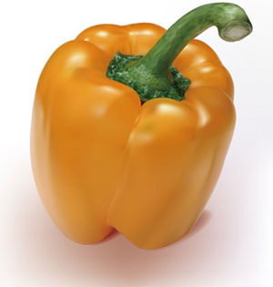 vector-orange-peppers-.jpg