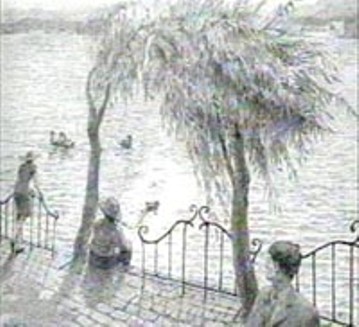 樹3.jpg