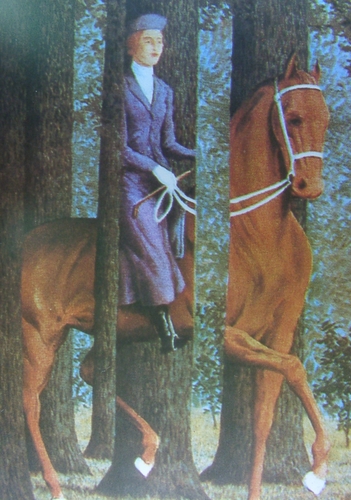 4042-263199.jpg