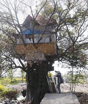 上海金橋鎮的「樹屋」。