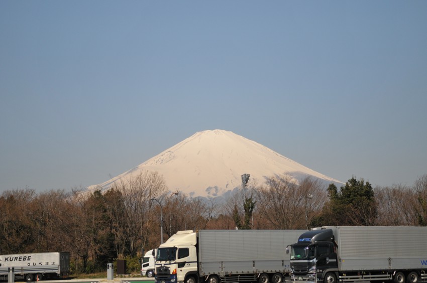 DSC_4197.jpg