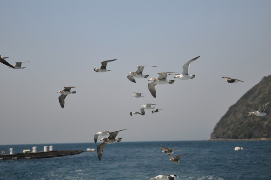 DSC_4317.jpg