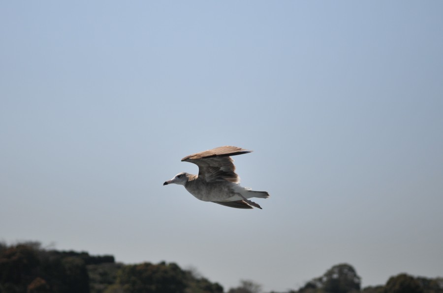 DSC_4312.jpg