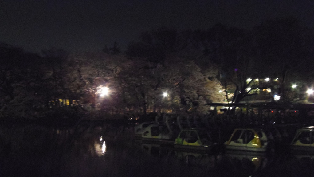 P4090480.jpg