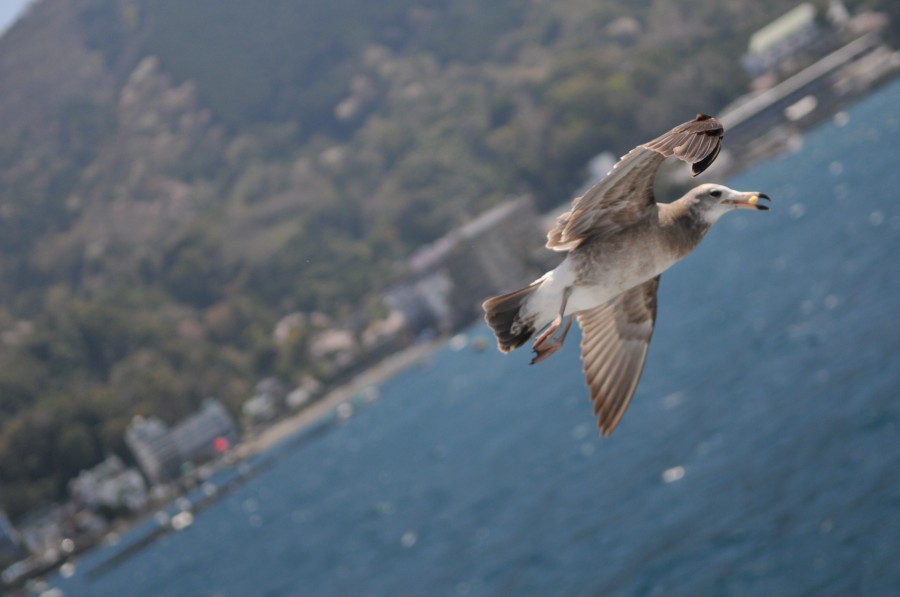 DSC_4286.jpg