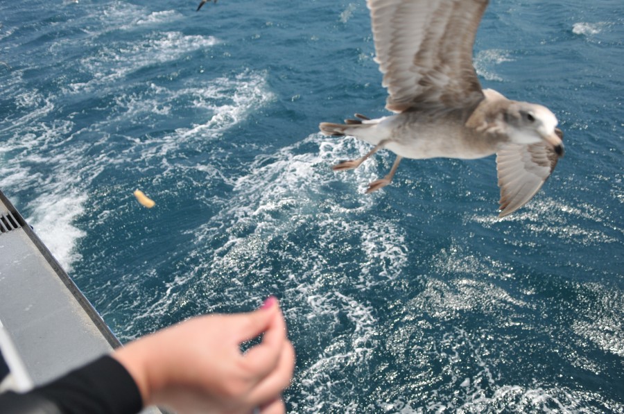DSC_4297.jpg