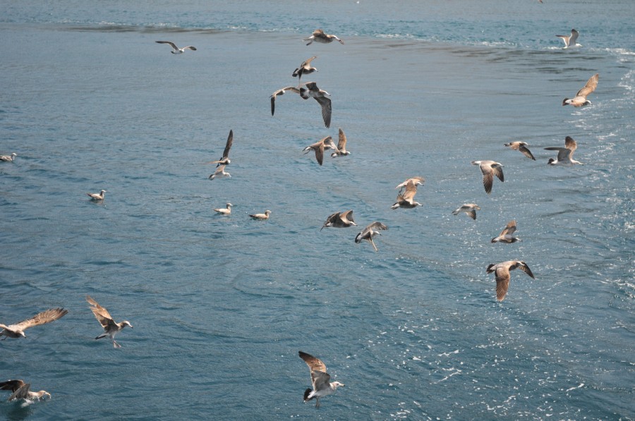 DSC_4304.jpg