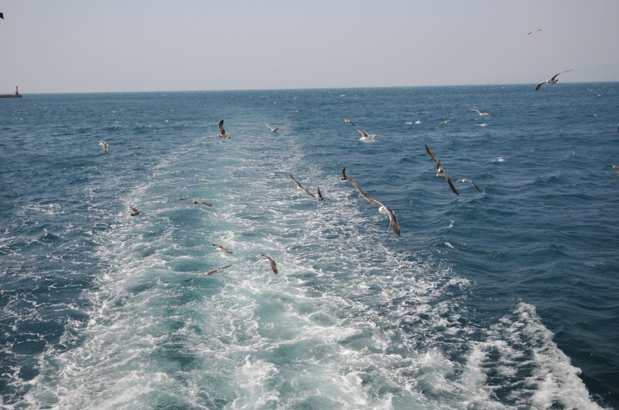 DSC_4308.jpg