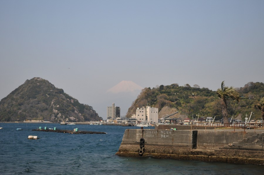 DSC_4272.jpg