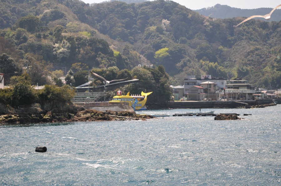 DSC_4279.jpg