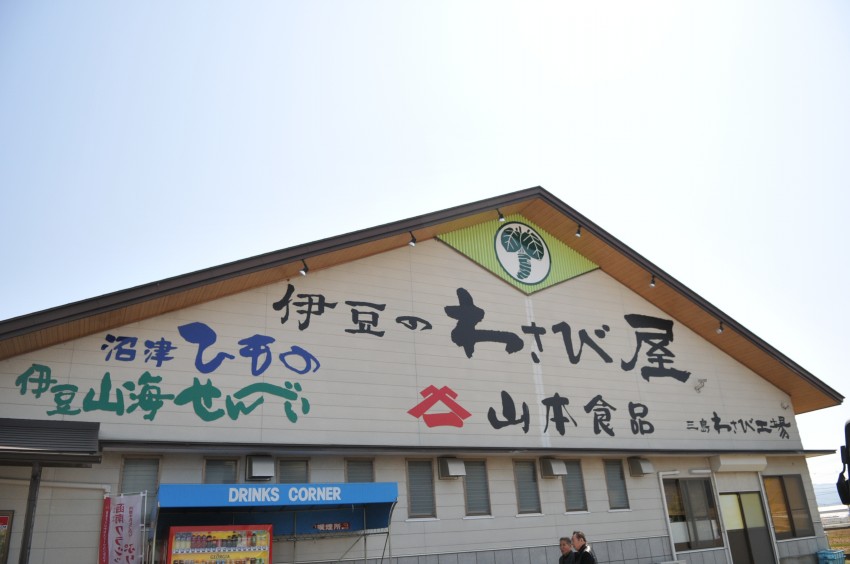 DSC_4216.jpg