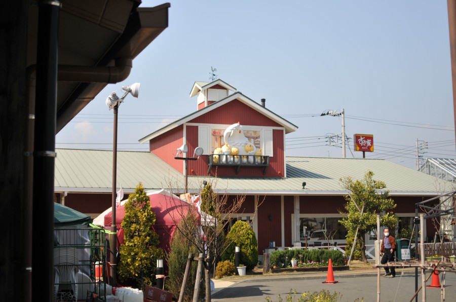 DSC_4344.jpg