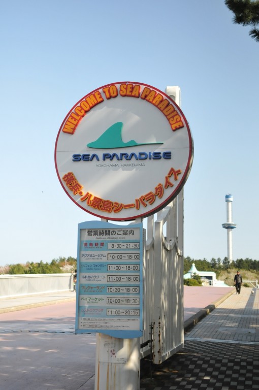DSC_5011.jpg
