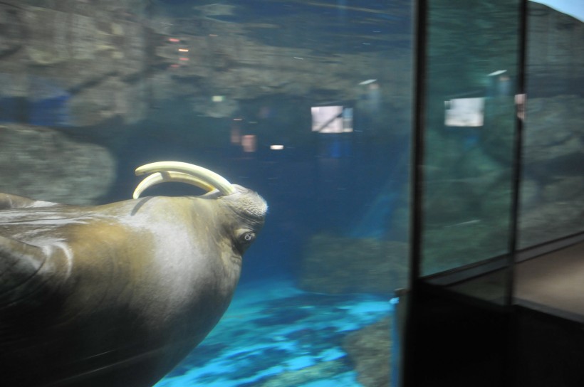 DSC_5035.jpg