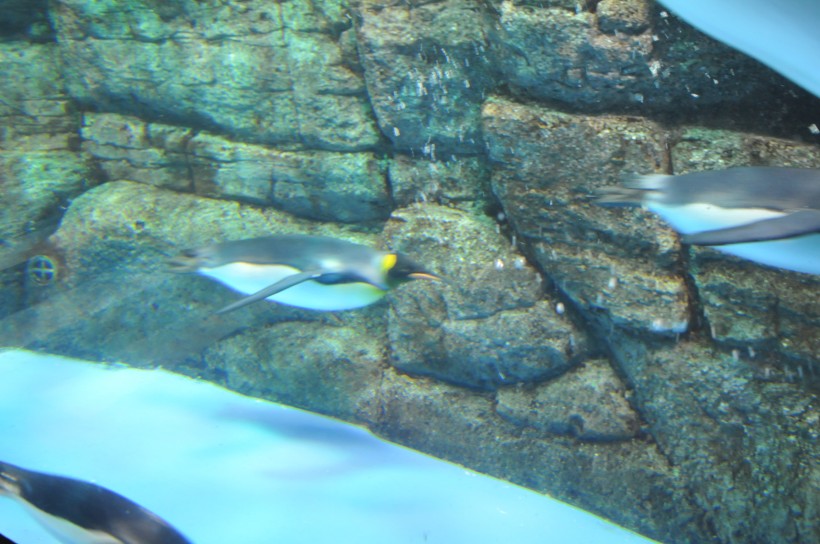 DSC_5047.jpg