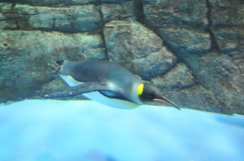 DSC_5044.jpg