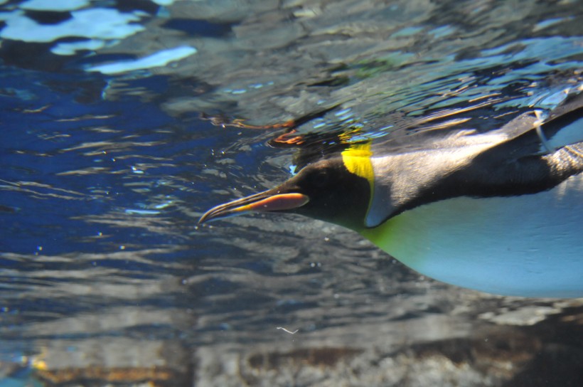 DSC_5050.jpg