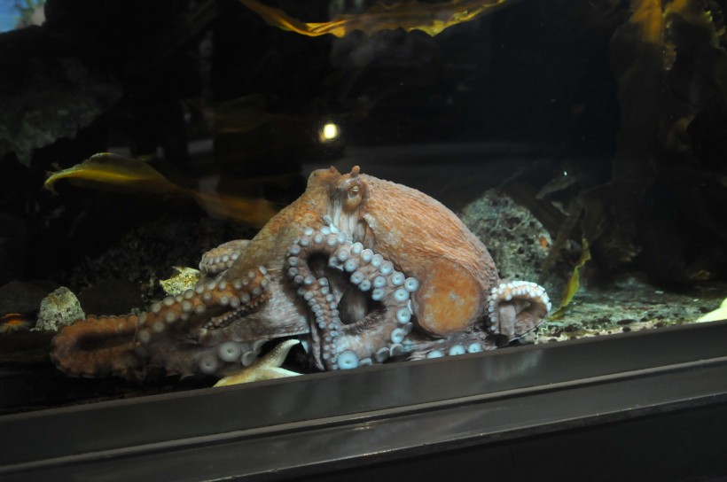 DSC_5092.jpg