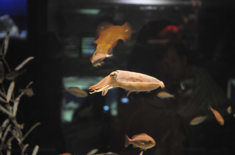 DSC_5114.jpg