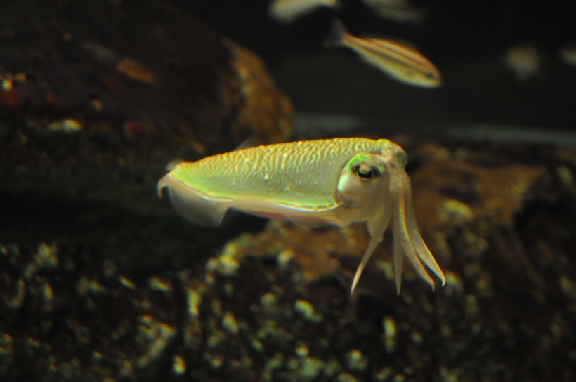 DSC_5126.jpg