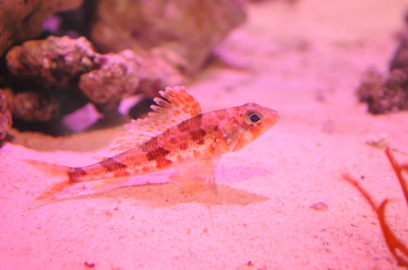 DSC_5148.jpg