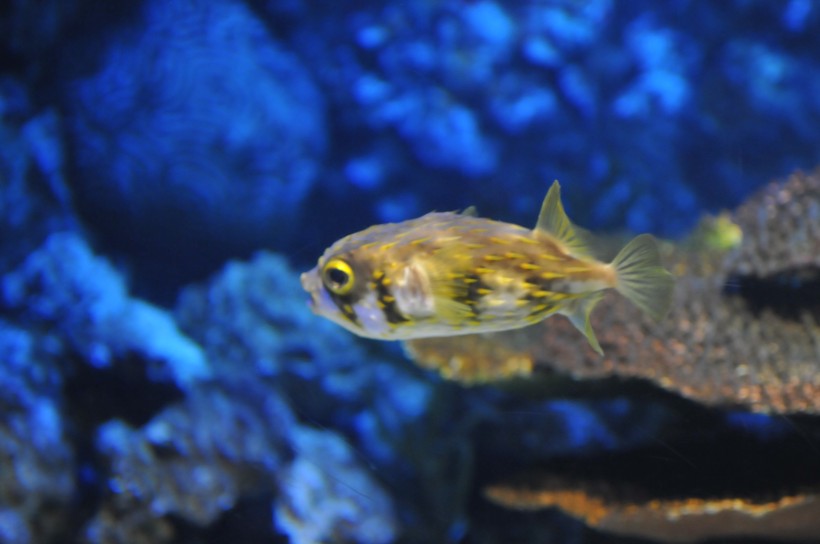 DSC_5178.jpg