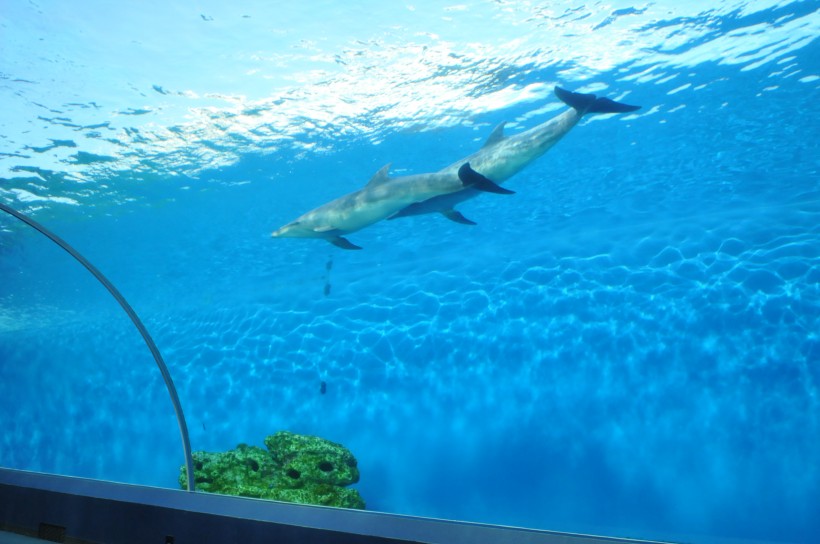 DSC_5211.jpg
