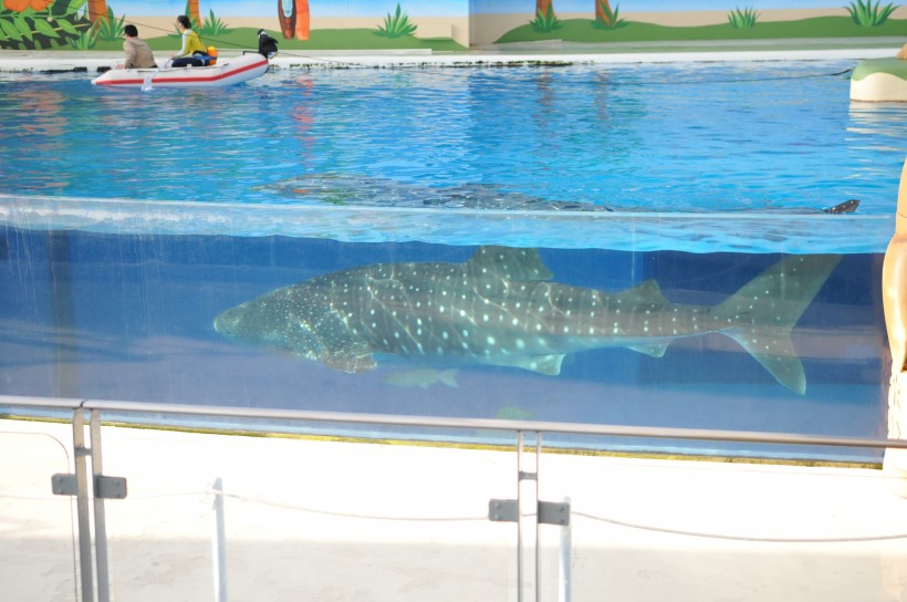 DSC_5244.jpg