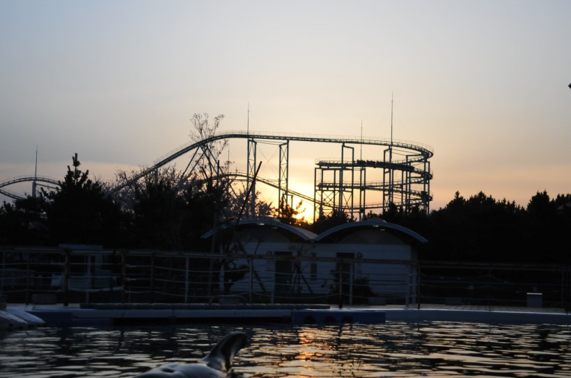 DSC_5255.jpg