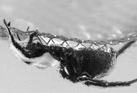2012042010065070446900.jpg