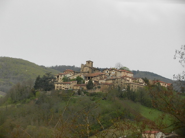 DSCN7175.JPG