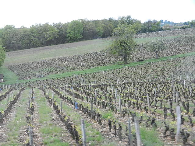 DSCN7144.JPG