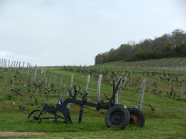 DSCN7208.JPG