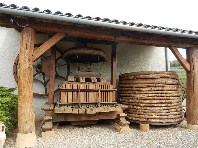 DSCN7204.JPG