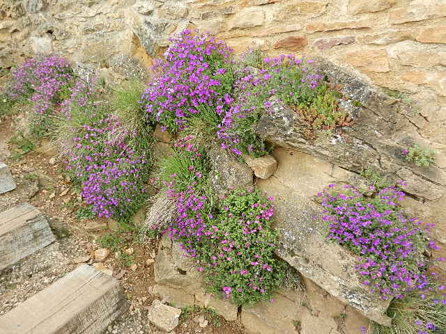 DSCN7304.JPG
