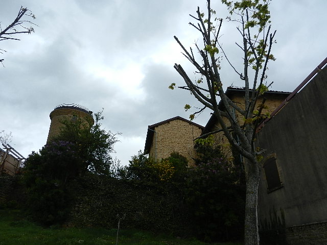 DSCN7311.JPG