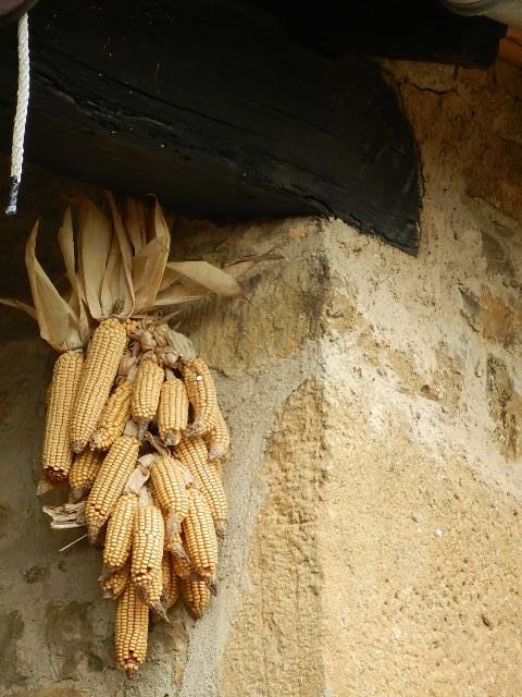 DSCN7326.JPG