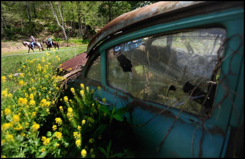 appalachia018.sJPG_950_2000_0_75_0_50_50.jpg