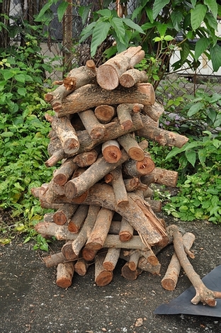 DSC_0985.JPG