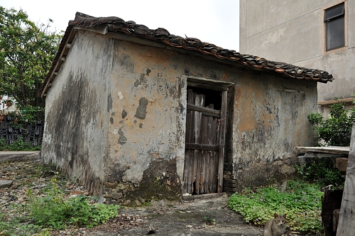 DSC_1002.JPG