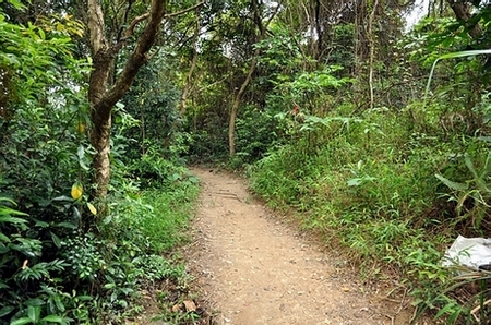 DSC_1019.JPG