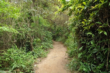 DSC_1020.JPG