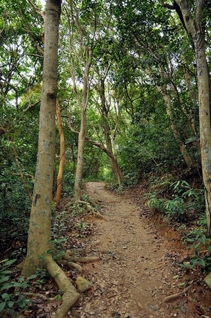 DSC_1022.JPG