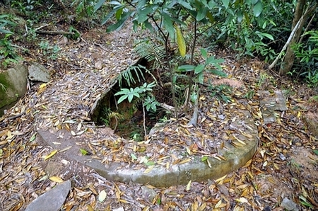DSC_1023.JPG