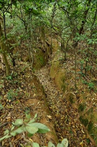 DSC_1024.JPG