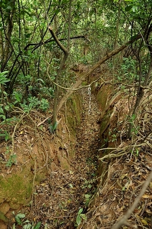 DSC_1025.JPG